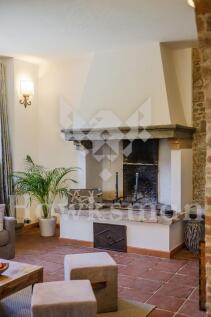Working Fireplace