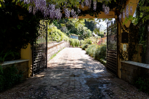 Entrance Gate