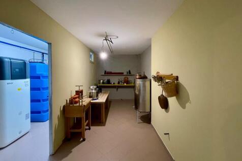 cellar 