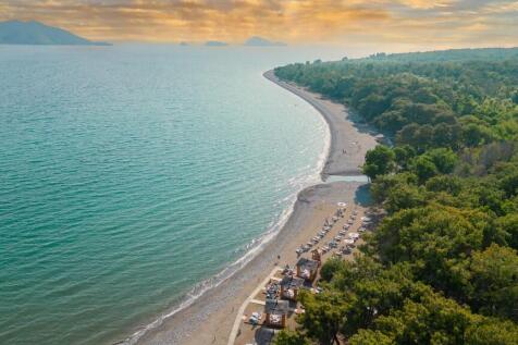 Beach area