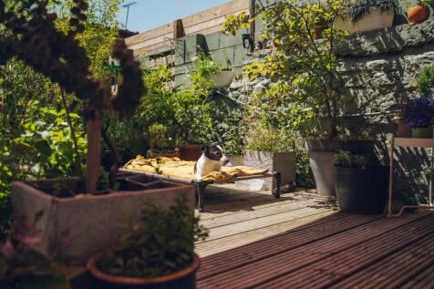 Property Image 29