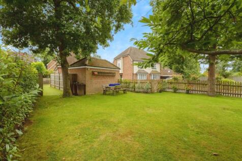 Rear garden 2