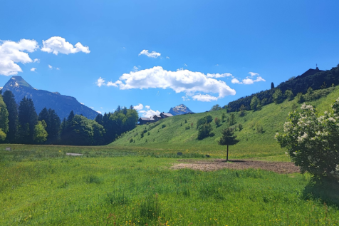 View from chalet