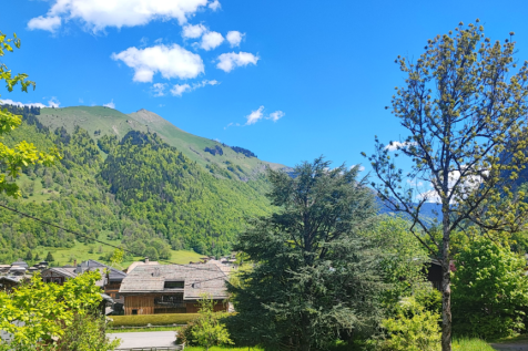 View from chalet