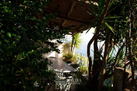 Property Image 56