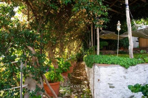 Property Image 62