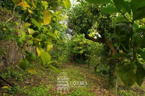 Property Image 56
