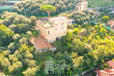 Property Image 59