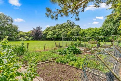 Vegetable plots.jpg
