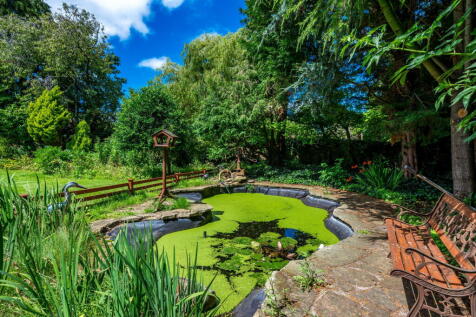 Property Image 51