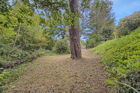 Property Image 59