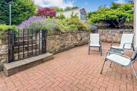 Rear patio.