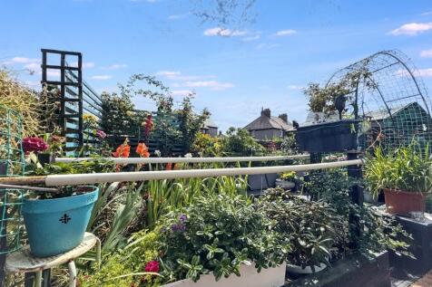 Rear garden.