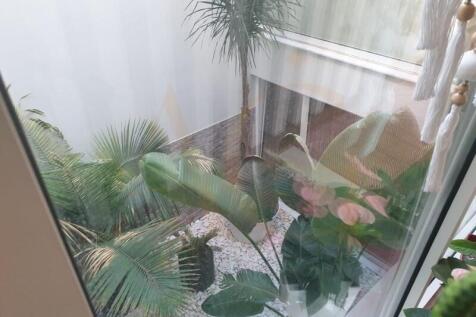 interior garden