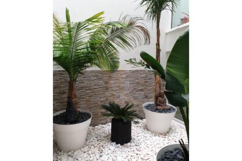 interior garden