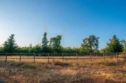 Riding arena for horses
