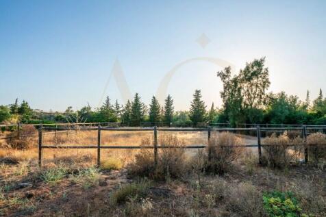 Riding arena for horses