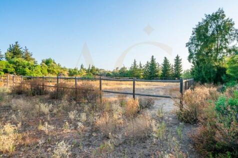 Riding arena for horses