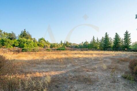 Riding arena for horses