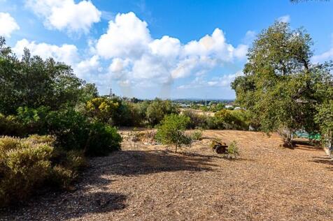 House with cultivation