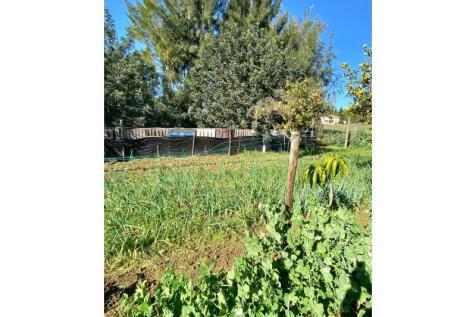 Land, cultivation area