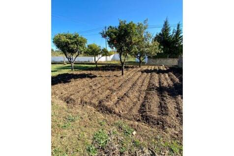 Land, cultivation area