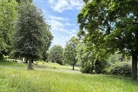 View of Park