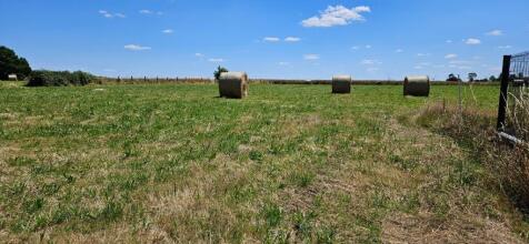 Big Field