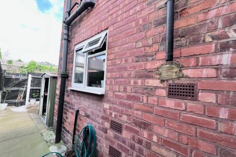 Rear Yard.jpg