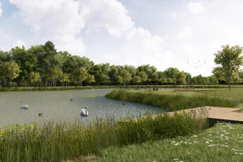 View of the Lake