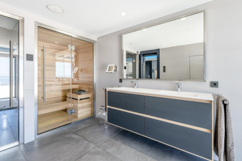 Sauna and bathroom