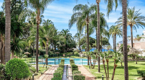 Garden and swimming pool