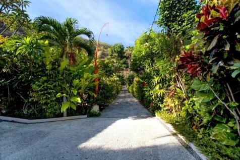 A lush tropical pathway is surrounded by vibrant g