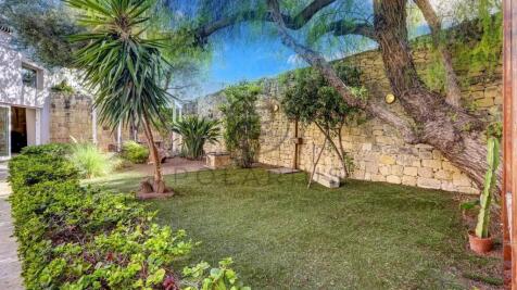 A lush garden with a large tree, several potted pl