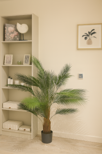 Suite decor