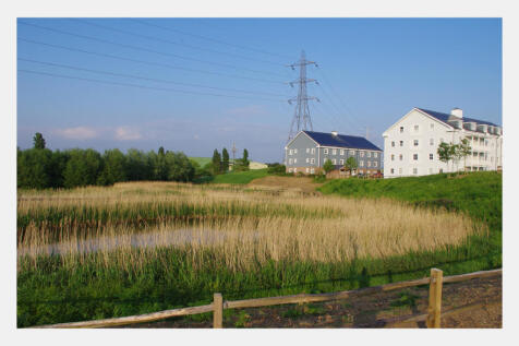 Wetlands.JPG