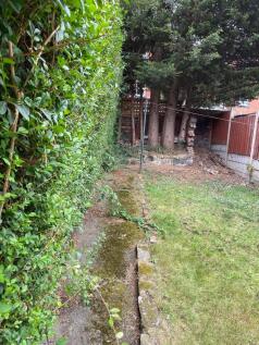 Back garden 