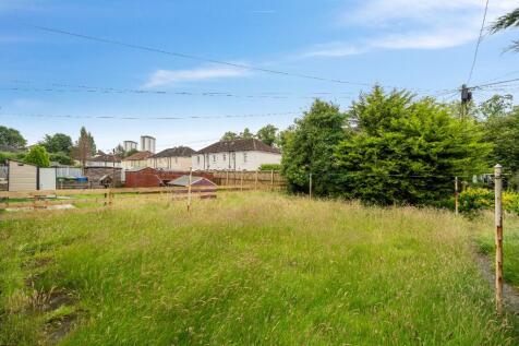 Back Garden