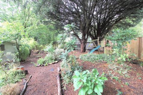 Woodland area