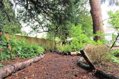 Woodland area