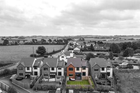 Plot View
