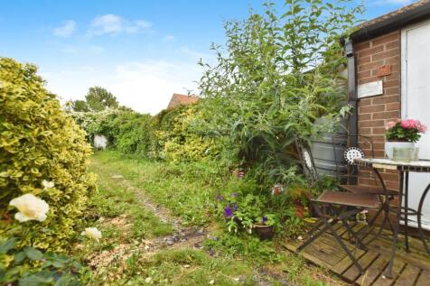 50467982-garden 20b.JPG