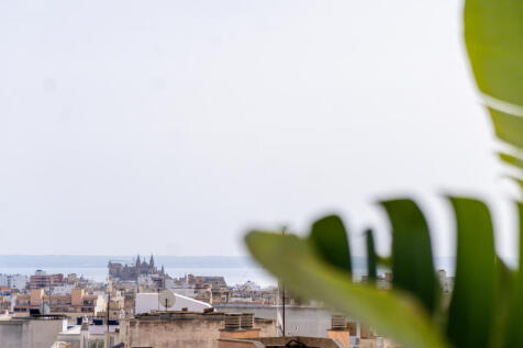 Blick von der Dachterrasse