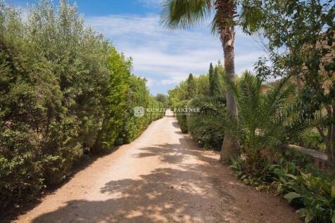 Zufahrt zu beiden Häusern und dem Pferdebereich