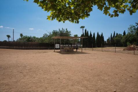 Paddock mit Heuraufe