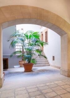 Eingangsbereich, Patio