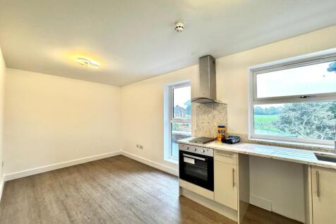 Living / Kitchen Area