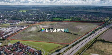 Bingham Site Mar 25.png