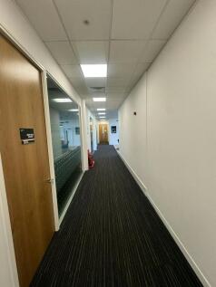 IMG_3034.JPEG
