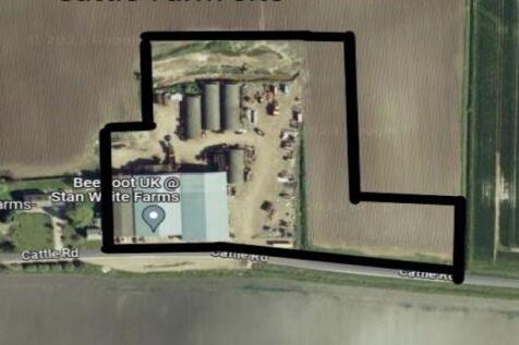 Cattle farm photo.jpg